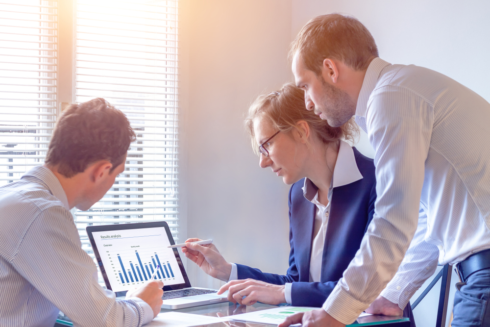 financial team checking analysis