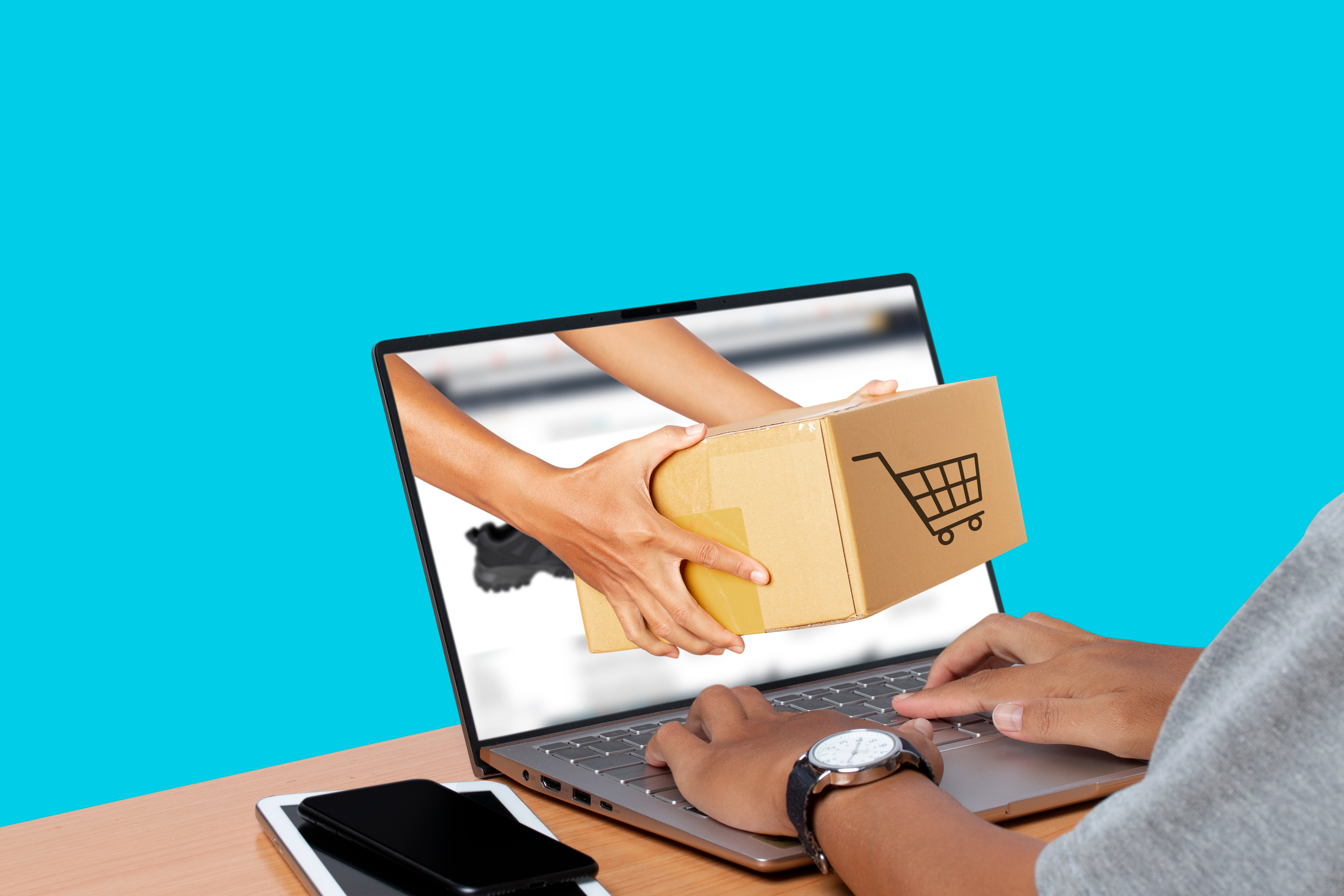 Current Trends and the Future of e-Commerce Payments