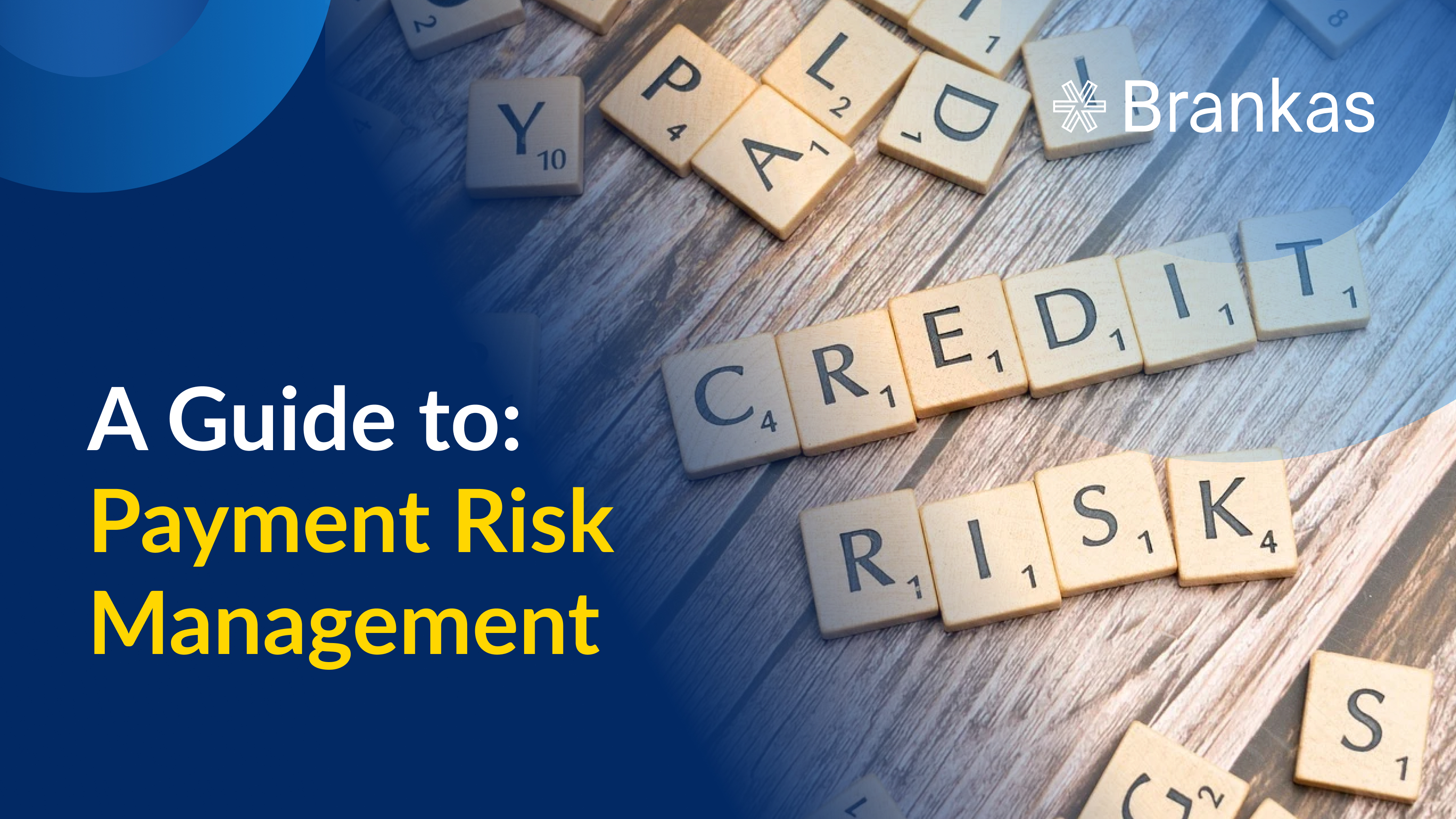 A Guide to Payment Risk Management